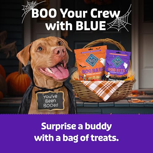 Blue Buffalo Boo Bits Chicken Dog Treats, 4.5 oz - image 8