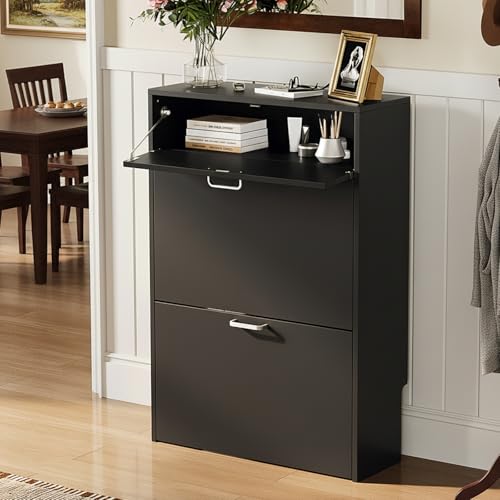 LEADZM Meuble à Chaussures 2 Portes 1 tiroirs Battantes Étroit, Étagère à Chaussures, Séparateur Réglable, pour Entrée, Salon, Chambre, 63,5 x 24 x 94...
