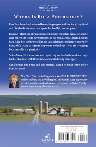 The Protector: A Mifflin County Mystery (1)