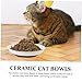 Hohopeti 3pcs Non-Slip Silicone Bottom Cat Bowls Ceramic Dishes for Food and Water Reducing Whisker Stress for Kittens and Cats of All