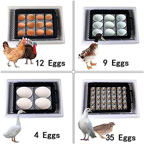 12 eieren automatische ei incubator, LED High-efficiency Automatische ei draaien en temperatuurregeling, automatische… - Afbeelding 6