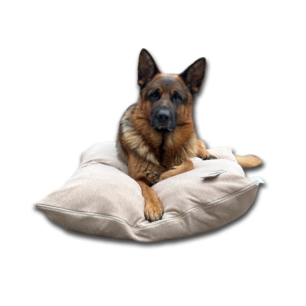 Dorian Home - Cuccia Cane Interno Taglia Grande, Media e Piccola - Cuscino Cane e Gatto Sfoderabile e Lavabile, Extra Imbottito e Morbido - Cuscino per Cani e Gatti Antimacchia Resistente ai Graffi