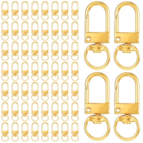 Prasacco 60 Stück Karabinerverschluss, Kleiner Goldener Karabiner Schlüsselanhänger Metall Karabiner Schlüsselring mit Drehgelenk für Schlüssel, Rucksäcke, Handtaschen, Gürtel, Haustier, Kunsthandwerk