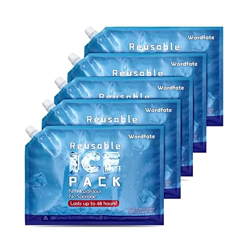 5-Packs Bulk Reusable ice Pack for Cooler Lunch Bags Lunchbox Cooler Backpacks Long Lasting Freezer Packs Cooler Accessories (Large Size 13.8x9.9inch)