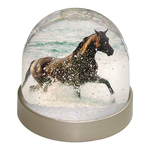 Black Horse in Sea Snow Globe by Advanta Cover