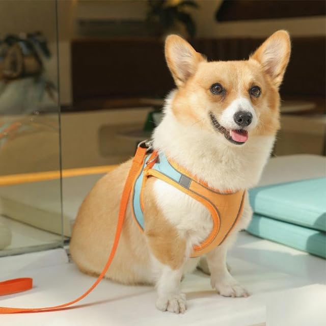 Escape Proof Dog Harness, Breathable Lightweight Vest Style Harness and Leash Set for Small Dogs and Cats