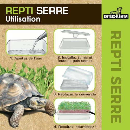 Reptiles Planet - Repti Gewächshaus, Nachfüll-Pad, Keimfilz, 5 Stück