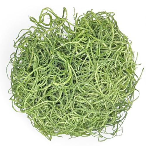 MIJOMA Erba decorativa per il fai da te: fibre di legno per fai da te, erba pasquale per nido e regali, 30 g, diversi colori (verde scuro)