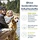 DOUXO S3 SEB Mousse, Hunde- & Katzenschuppenlösung, Beruhigende Leave-On-Katzenmousse, effektives Mousse für Hundedermatitis, schuppige & fettige Haustierhaut, hypoallergener Duft