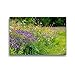 Produktbild CALVENDO Premium Textil-Leinwand 45 x 30 cm Quer-Format Wildblumenwiese im Harz, Leinwanddruck von Thomas Polske