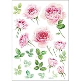 ハウスジーダ ウォールステッカー 消臭抗菌 ブリリアントローズ DWS-470