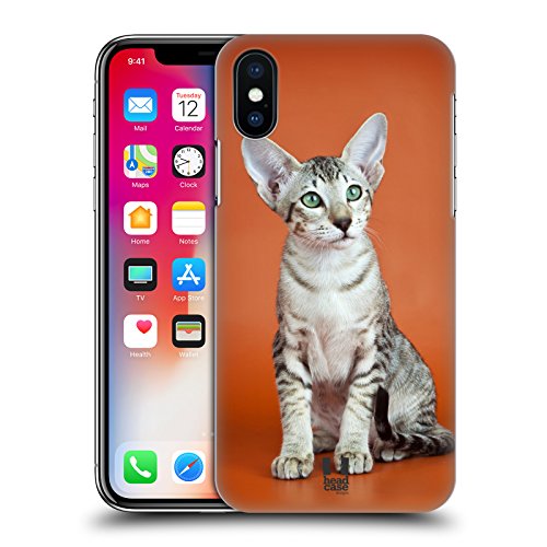 Coque dure iPhone XS Chat Orientale anti rayure pour l'arrière