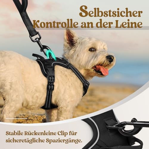 rabbitgoo Hundegeschirr Kleine Hunde, Anti Zug Geschirr mit Kontrolle, No Pull Verstellbar Hundegeschirr Grosse Hunde, Atmungsaktiv Reflexstreifen Brustgeschirr Sichere Führung Schwarz XS