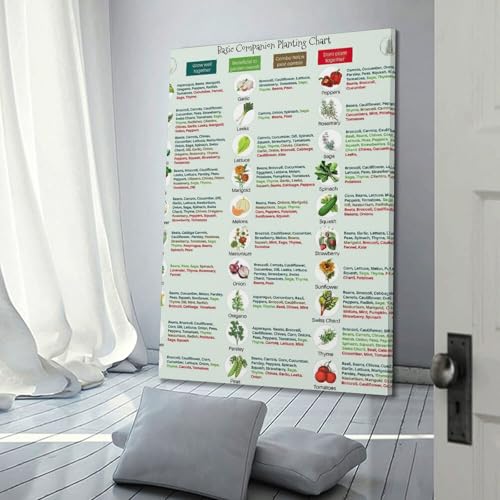 Image of GHJFDF Basic Companion Planting Chart Poster Garden Planting Types Reference Guide Wall Poster for Room Aesthetic Posters 16x24inch(40x60cm)