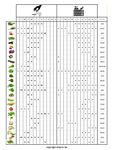 Thym - zaden - Afbeelding 7