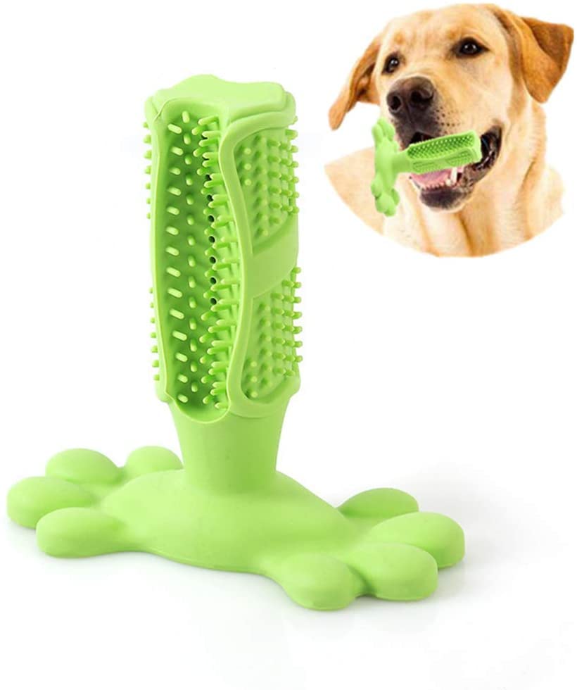 RvPaws Dog Toothbrush, Interactive Dog Chew Toy, Dog Brushing Stick, Chew Toy for Teeth Cleaning, Pet Molar Tooth Cleaning Brush Bone Stick, Dogs Oral Health and Dental Care - Color As Available (B0B8NWJN82) Amazon Price History, Amazon Price Tracker