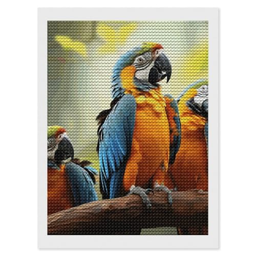 Kit broderie diamant adulte perroquet idée cadeau loisirs créatifs