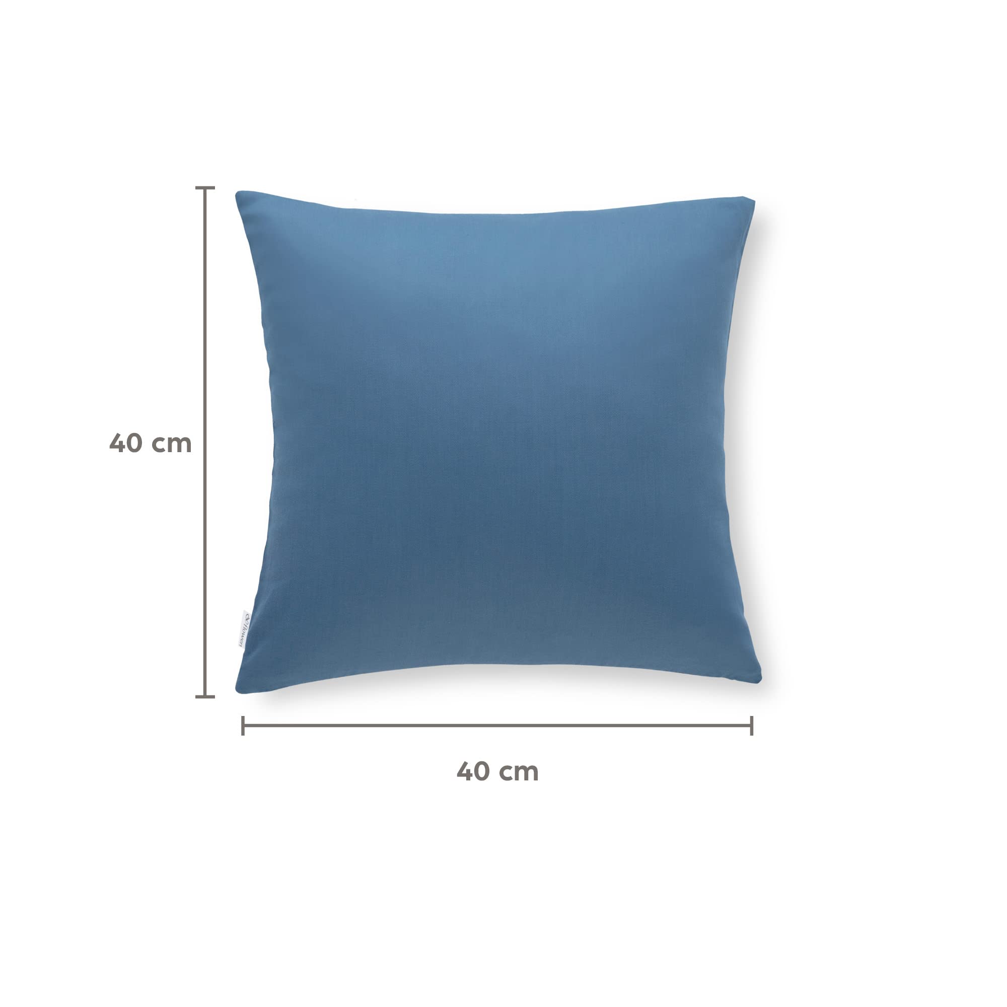 Flowen Federe Cuscini Divano 40x40 Set da 2 Copricuscini in Microfibra Fodere Lavabili e Resistenti 40 x 40 cm Tessuto 100% Poliestere Traspirante Anallergico Antiacaro Ideali per Arredo Casa