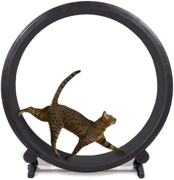 ウダダ キャットホイール - Woodada Cat Wheel (猫用回し車)
