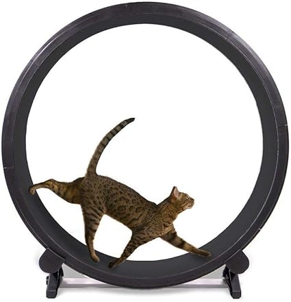 Amazon Co Jp One Fast Cat 猫ちゃんの室内エクササイズに Onefastcat キャットエクササイズホイール ブラック 並行輸入品 ペット用品