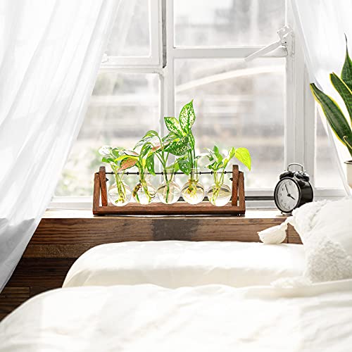Mkono Desktop Plant Terrarium Glass Vase, Farmhouse Plant Propagation Jars With Wooden Stand Flower Bud Glass Planter For Propagating Indoor Hydroponic Plants Home Office Desk Decor, 5 Bulb Vase #TOP2