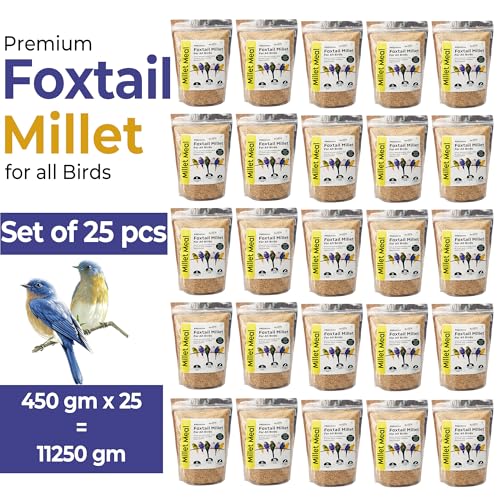 Image of REFIT ANIMAL CARE Foxtail Millet for Birds | Kangni Seeds | Bird Food | 450 gm X 25 | Pack of 25