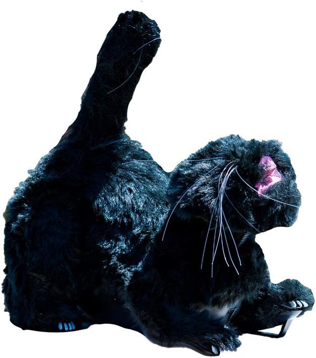 Gull-Cat Bird Deterrent Cat Decoy