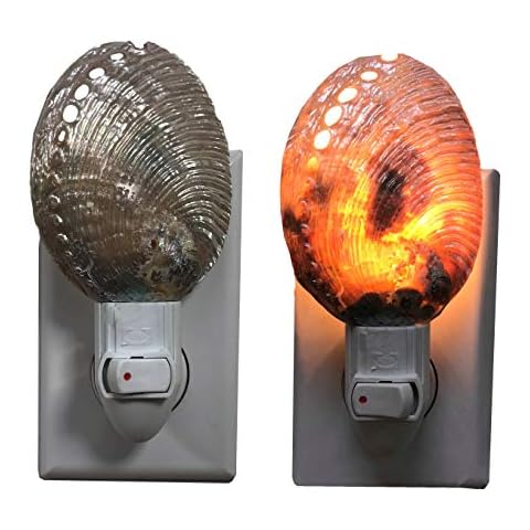The Shell Conenction | Seashell Night Light | Polished | Blue Abalone | Real Cover