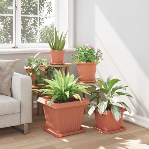 Soucoupe stable pour pots de fleurs évitant les fuites d'eau 32cm