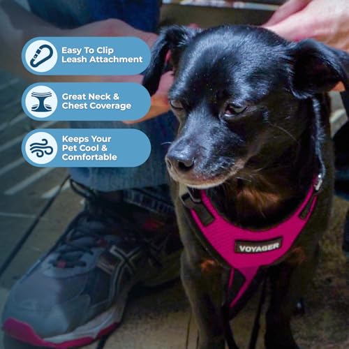 Image of Best Pet Supplies Voyager Step-in Lock Pet Harness w Reflective Pet Leash Combo Set with Neoprene Handle 5ft - Supports Small, Medium and Large Breed Puppies /Cats - Fuchsia /Black Trim Set, L