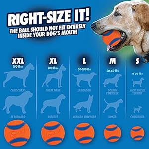 Chuckit Ultra Ball Dog Toy, Large (3.0 Inch Diameter) Pack of 1, for breeds 60-100 lbs