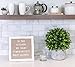 Cappuccino Felt Letter Board Back to School Sign with Rustic Wood White Frame - Farmhouse Letter Board Sign with Stand - Baby Announcement 10x10 Felt Board Changeable Message Board with 350 Letter Set