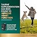 VetriScience Extra Strength Healthy Heart Chews, Vetri Cardio Supplement for Dogs, Heart Support Supplement with Taurine, Carnitine, CoQ10, Hawthorn and Berberine, Chicken, 60 Count