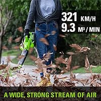 Greenworks 48V(24V x 2) Akku Laubsauger / Laubbläser mit Schultergurt, bürstenloser Motor, 322 km/h, 9 m³/min, 45L Fangsack, zwei 4Ah Batterien & Ladegerät, 3 Jahre Garantie GD24X2BVK4X – Ansicht 5