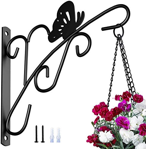 Best Wall Bracket For Plants