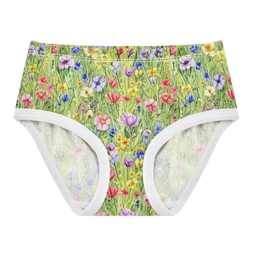 Colorful Girls Underwear Toddler 2t Cotton Girl Panties Cute Watercolor Flowers Colorful Floral Kids Undies Briefs