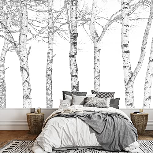 wall26 - Black and White Outline of Aspen Trees -