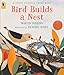 Bird Builds a Nest: A First Science Storybook