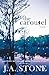 The Carousel