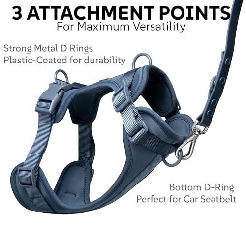 Dog Harness, Collar & Leash Set, Adjustable No Pull Harness with 3 Leash Clips, Waterproof Matching Collar & Leash, Breathable Comfort (Blue, Small) - Image 4