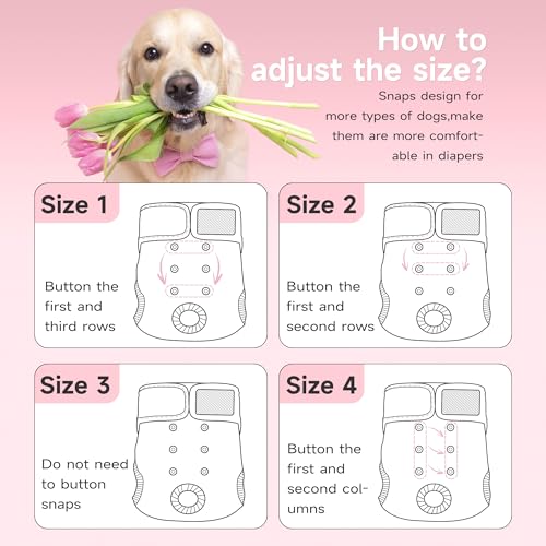 Image of Paw Legend Washable Reusable Female Dog Period Diapers for Heat Doggie Puppy Diapers for Female Dogs (3 Pack, Flower, Small)