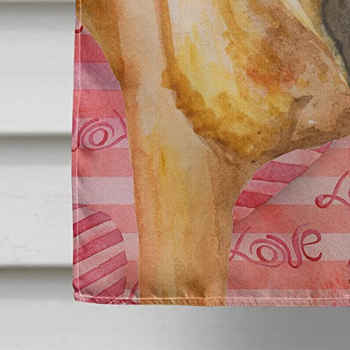 Drapeau Shar Pei multicolore résistant aux intempéries pour mât de jardin - 5