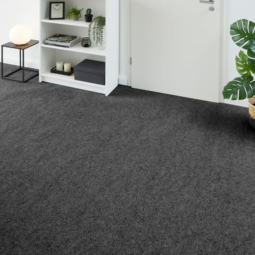 andiamo Teppichboden Milo - Nadelfilz Meterware, Teppich zum zuschneiden, Bodenbelag aus Nadelflies, funktional und leicht zu verlegen, 200 x 400 cm, Anthrazit