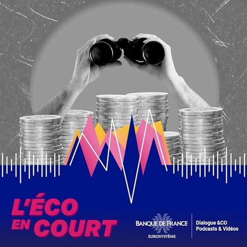 Couverture de Que font les banques de notre argent ?