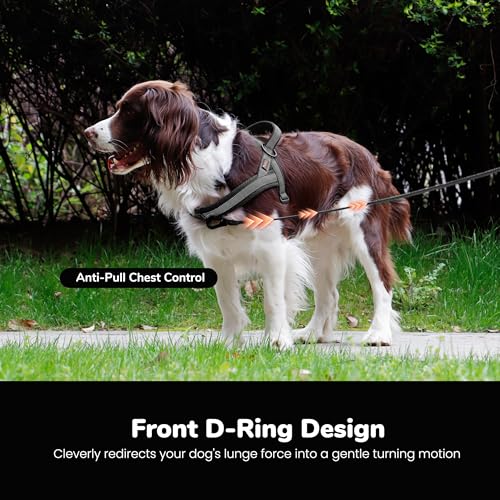 Image of Didog No Pull Dog Harness for Medium Dogs, Breathable Mesh Padded, Black,M
