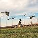 DEADLY DECOYS® Duck and Goose Flyer Decoys -1 Decoy