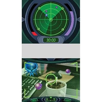 System: Flaw (DSi Only)