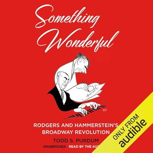 Page de couverture de Something Wonderful