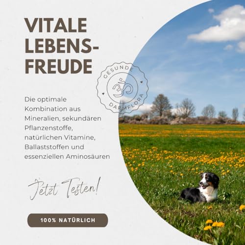 Naturpfötchen Freilandgans - Kaltgepresstes Premiumfutter aus Freilandhaltung - Reich an Ballaststoffen und Protein (25%) - ohne Konservierungsstoffe - Produziert von der Markus Mühle (5kg)