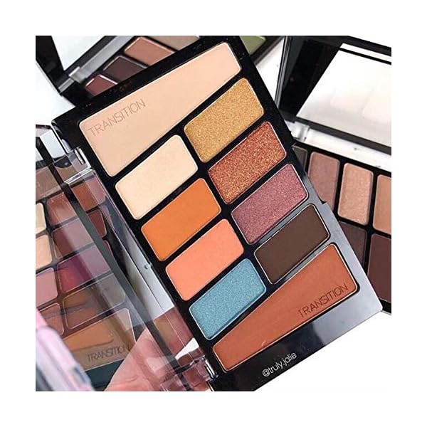 wet n wild Color Icon Eyeshadow 10 Pan Palette, Nude Awakening, 0.3 Ounce, (757A)